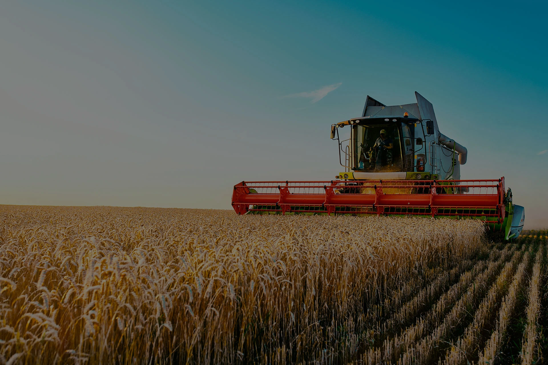 Dia do Agricultor: ArcelorMittal reconhece a força de quem cultiva o futuro do Brasil